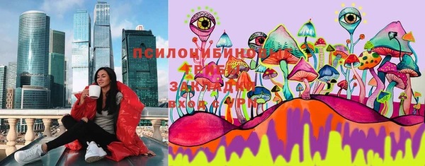 твердый Алзамай