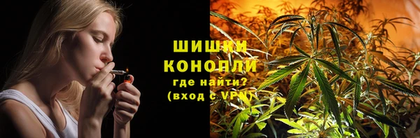 apvp Пестово